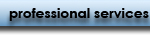 Professional Services